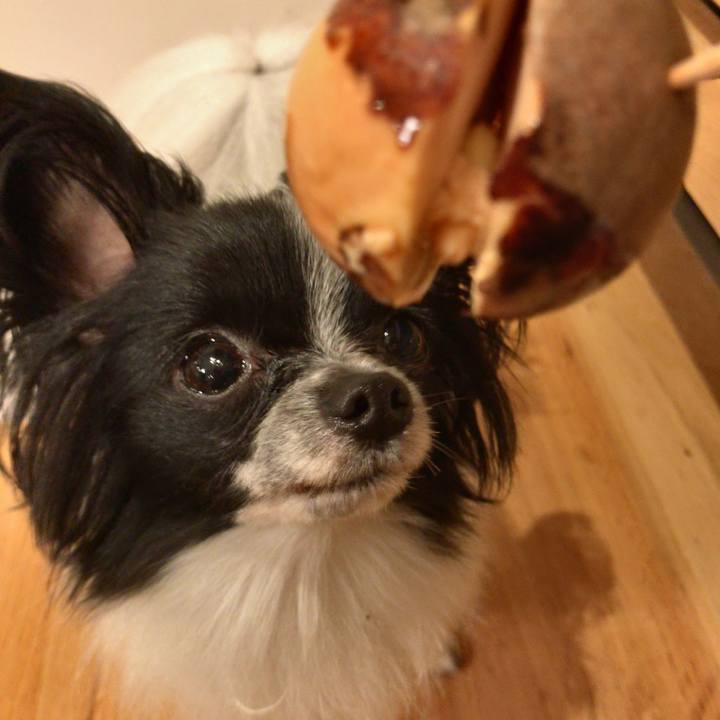 7d2dd037 0153 4384 8d56 e49a8ee46609