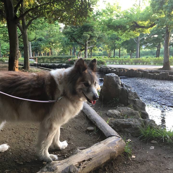 7d2dd758 3b3a 49ba aef3 892dc3527a8e