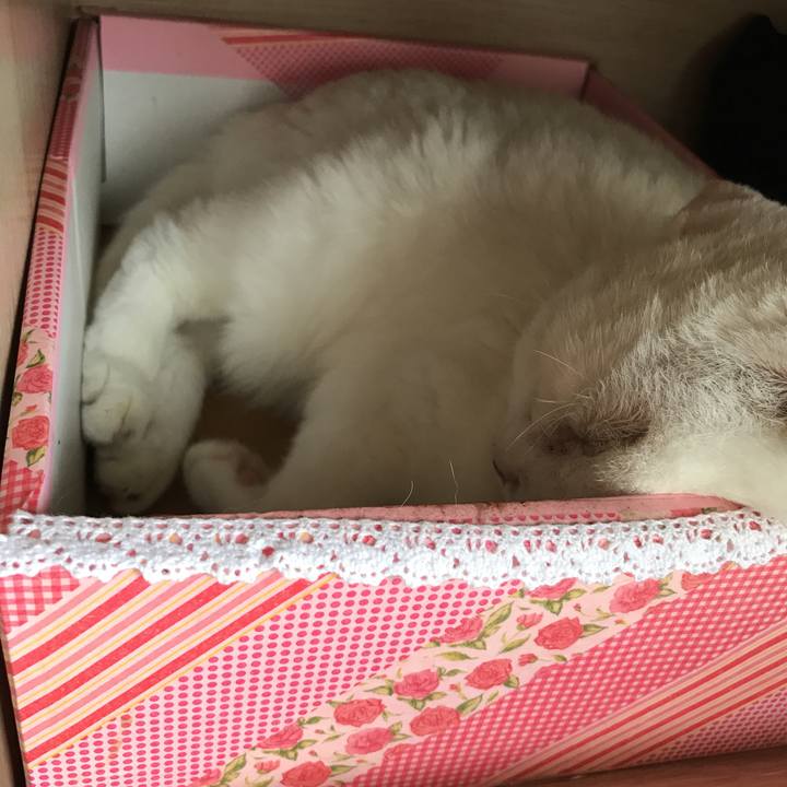 7d2e14dc 399f 48fa b604 d89c5e0b8c1a