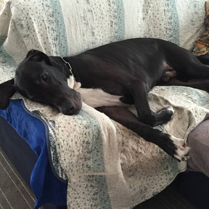 7d2f35b7 9724 47b0 a3c1 bbc0fa212dea