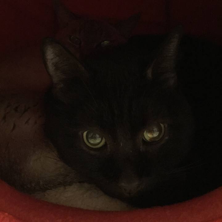 7d2fa9df 07dc 4145 bfad 377e78f6dd7b