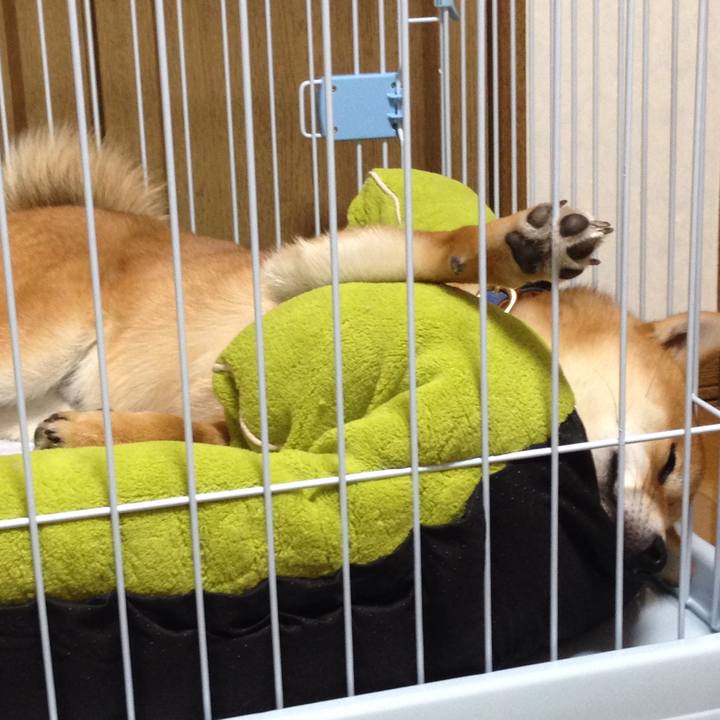 7d31183b 2637 4f21 9ed1 3b122a767066