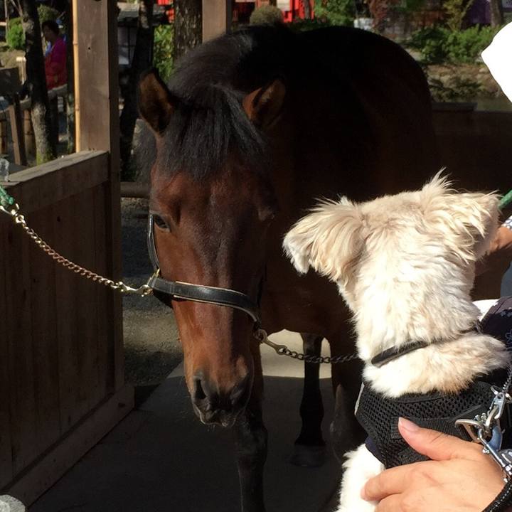 7d31462f 0077 441a bf20 755bb8148ae5