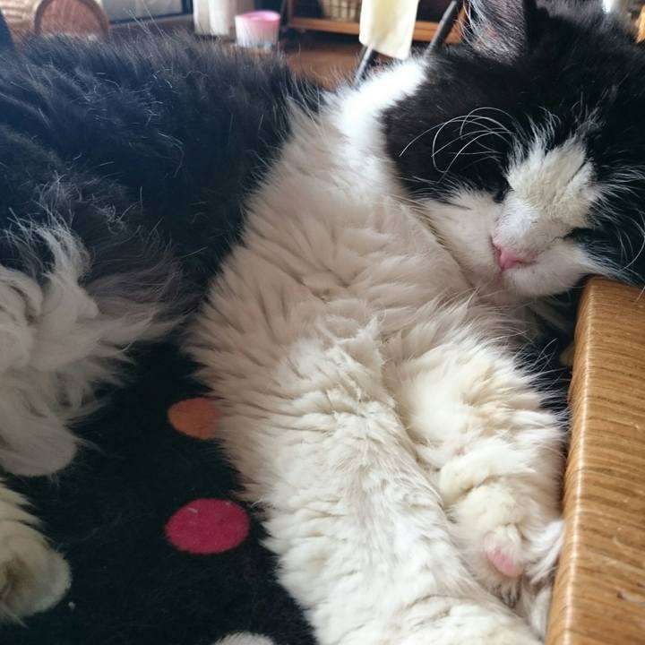 7d31752d 4edb 4fff 884b 7d1de778aedb