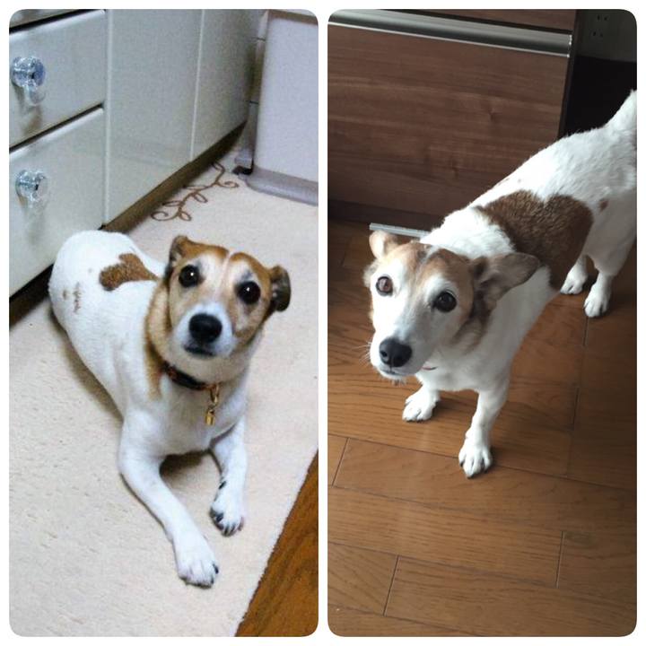 7d317d21 6bf4 474a bbeb 5f3bc47d757f