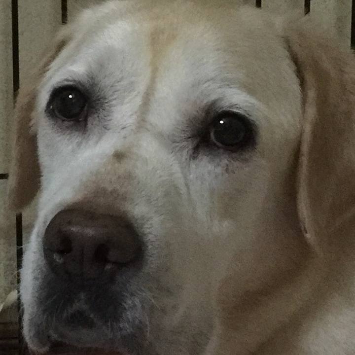 7d319277 cf45 4954 8448 1719cddcc341