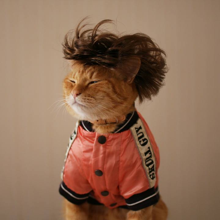 7d32f9a2 8382 4769 aada ddf88925c459