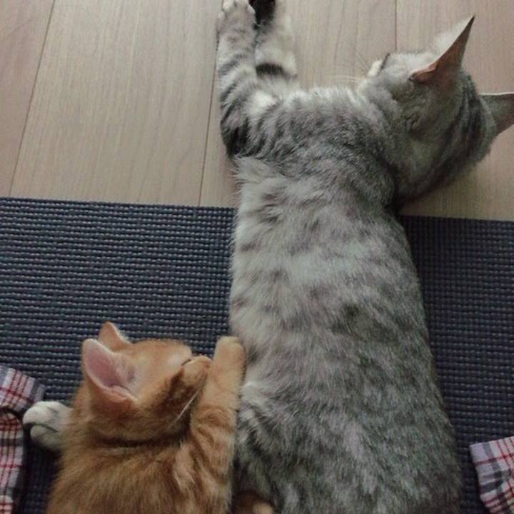 7d331dbf d6b8 473e bee5 48f95515353a