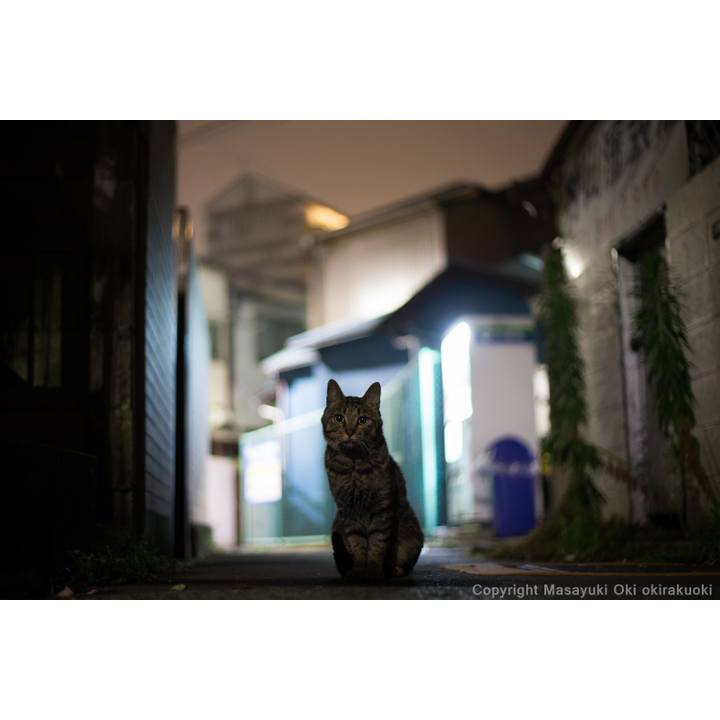 7d338b9f 6f14 4cbe 9a2d b4a069ce90dc