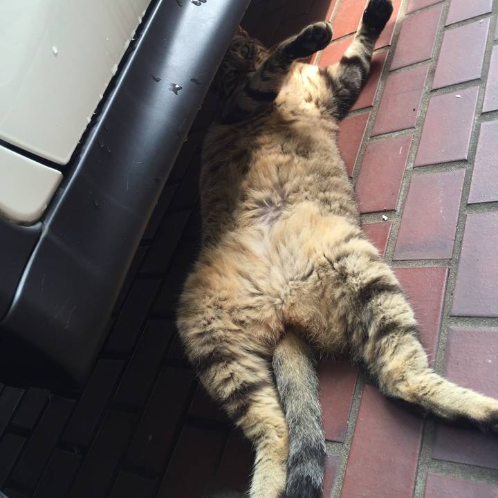 7d33b047 1b6a 4a5d aab3 3b713662ed69