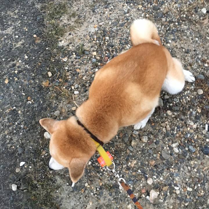 7d33e25e 0334 4061 a289 15abf97d1398