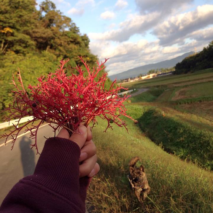 7d344cad 68f2 4b1c 8f7c 5104aa76a7e4