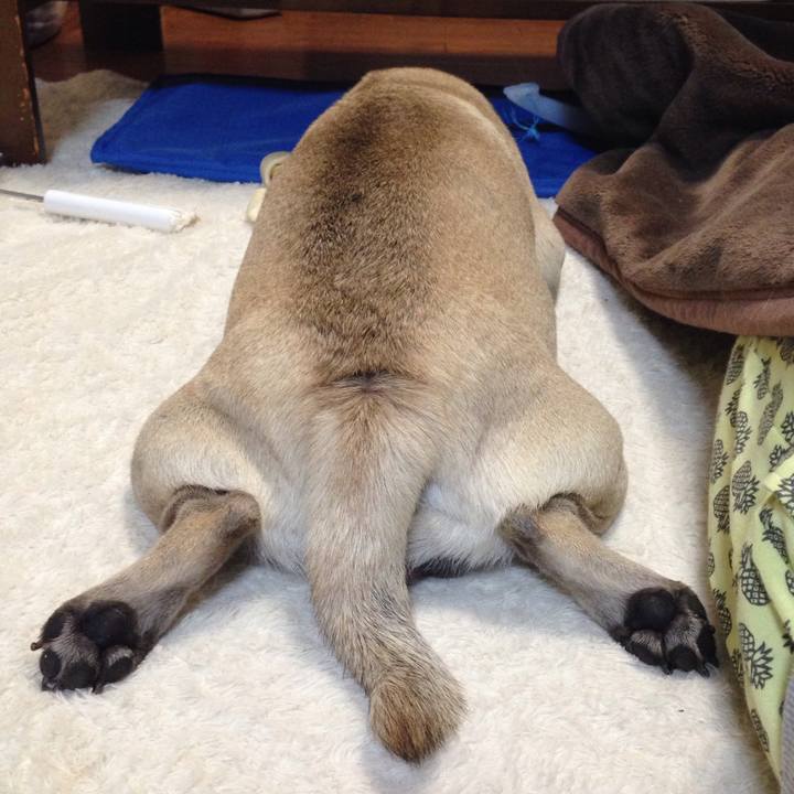 7d348d97 af62 463d a220 5b4cdaee8d31