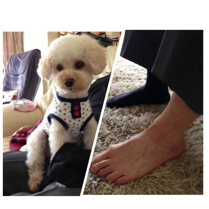 7d348f4c dc51 4350 b6e4 ba2866b7dbd6