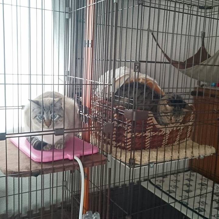 7d34c834 b28d 4607 ac64 9c0a8534c422