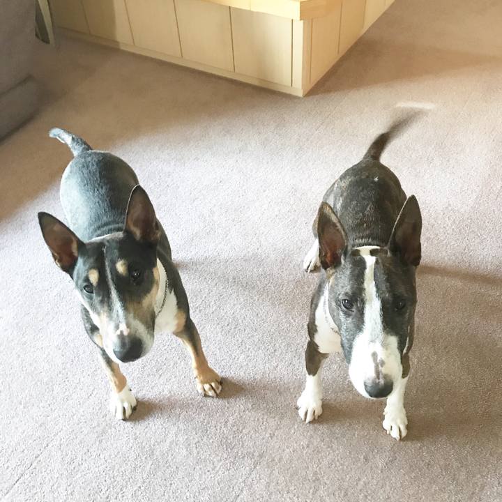 7d35a2cf 651c 47cf ae4b 6ac4eb5af067