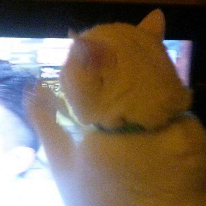 7d35cbe6 1440 4736 ae63 9ed92d6c08c7