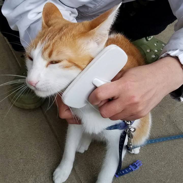 7d372706 54b8 41ad 8c62 c14b847727fc