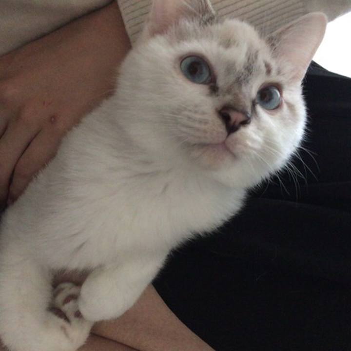 7d3760fd 02ac 4dc0 9977 8a3be75b61b1