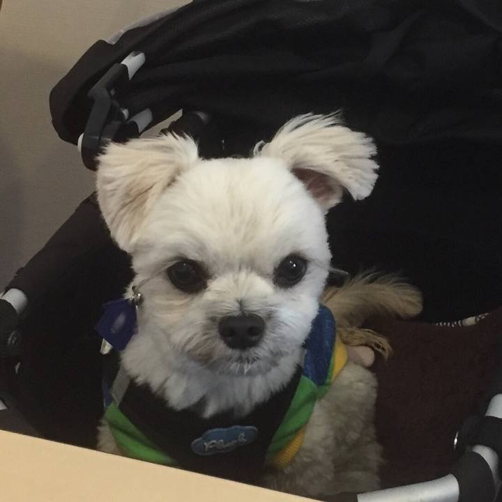 7d37b20c ebb3 4e3c bd2f 2b0198424ae3