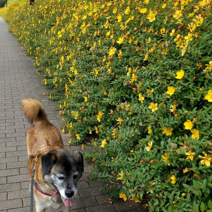 7d383b3f dfcf 4700 ba27 82614141d736