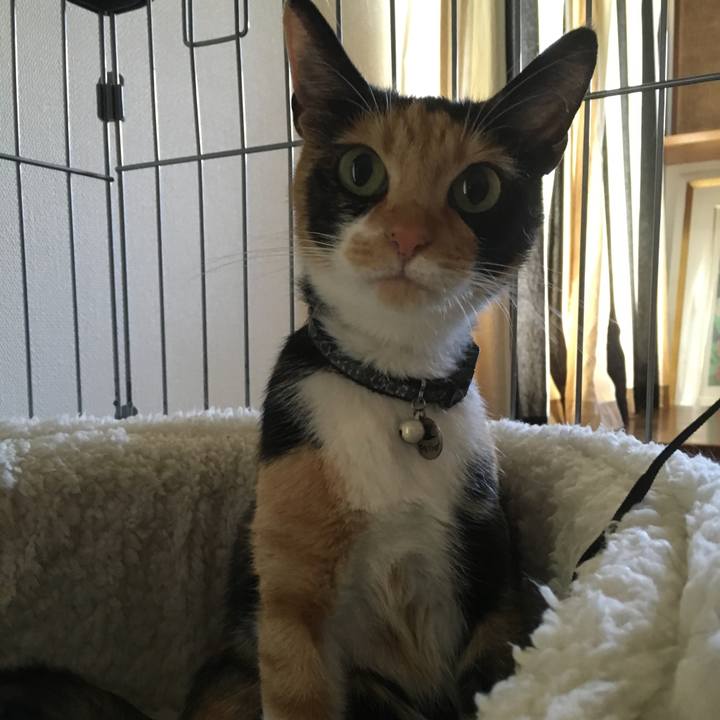 7d38cfd4 a1fa 4964 a550 410e9d678201