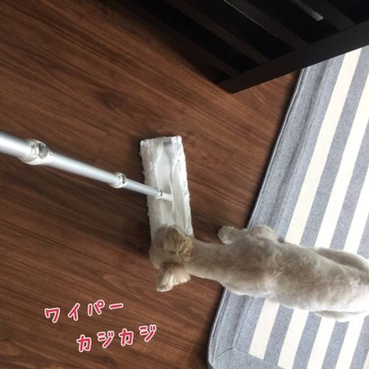 7d393868 22c8 4b34 aa6c 6b45ad1c9af6