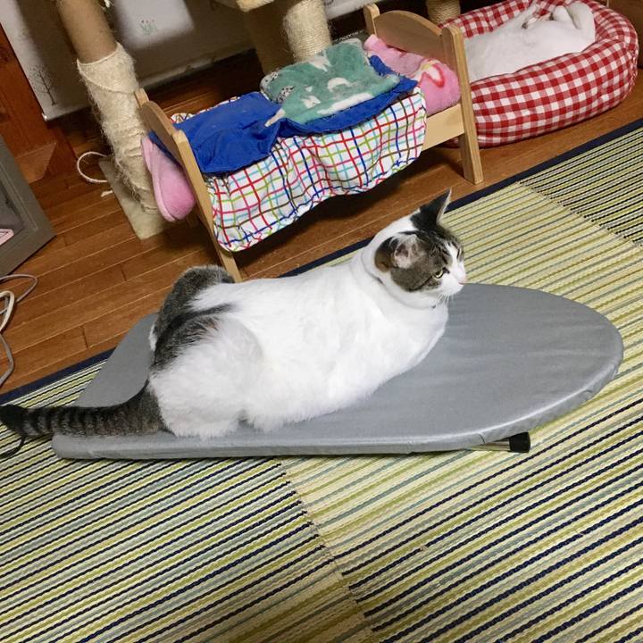 7d3938be a100 4ab4 848a e481d8091aa7