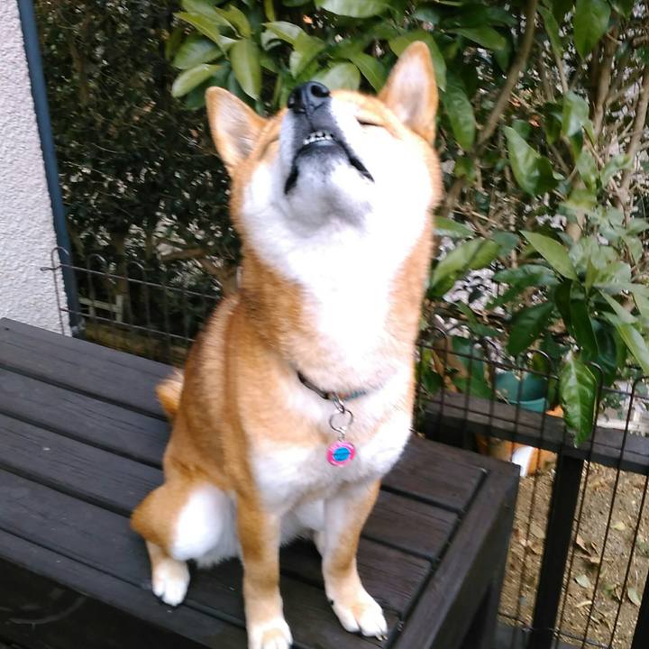 7d393f4d c802 4dd9 98bc 8ce15735af41