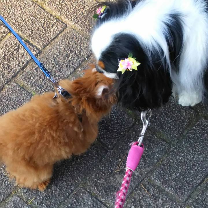 7d3a81fe 1ff2 4b62 a309 0fa0ee6173df