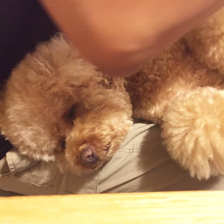 7d3a8ee3 a304 4d4d afaf e1060539d3bd