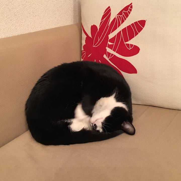 7d3ab2c0 7de7 460c be9e c08535e32c99