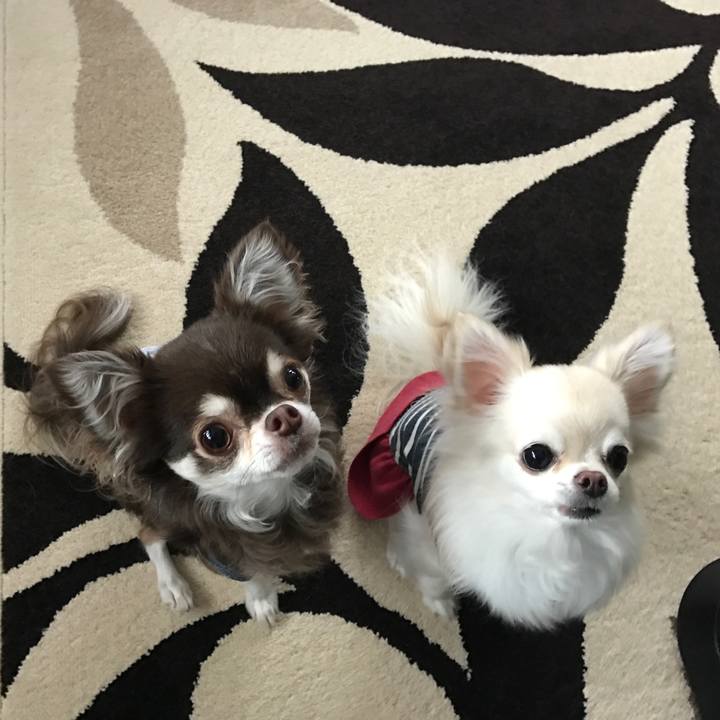 7d3ae408 8cb9 4b40 a1b9 189f39a8f930