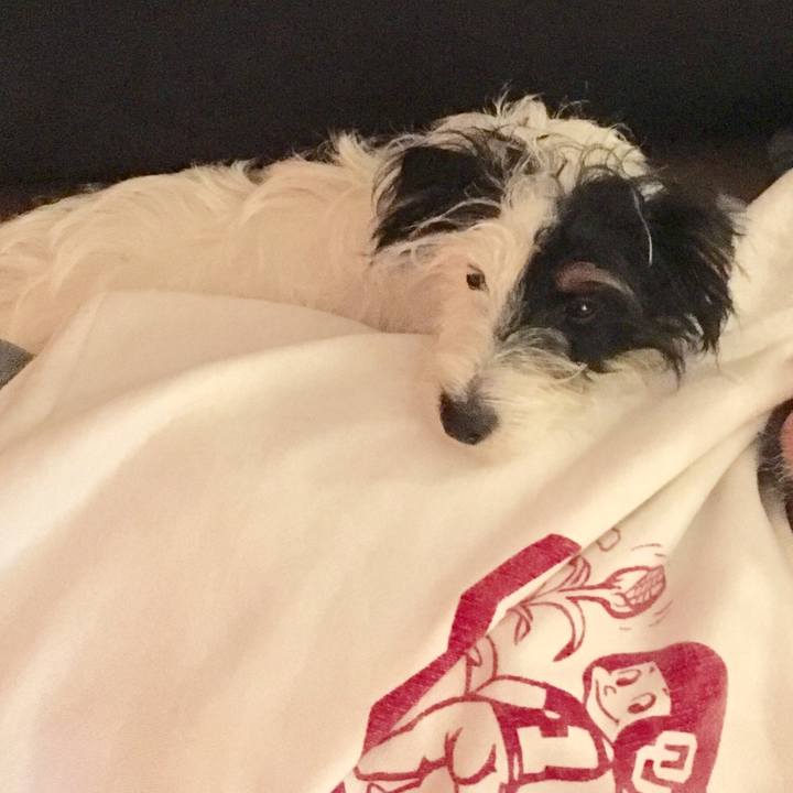 7d3af35e 92c3 49a1 96b8 154cc8035052