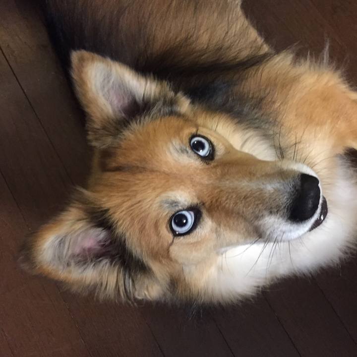 7d3b2f9c 296a 48ae a25b fd67a613b9f0