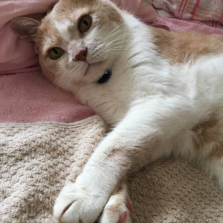 7d3bdbe3 f203 41ca 8299 083636e7bd39