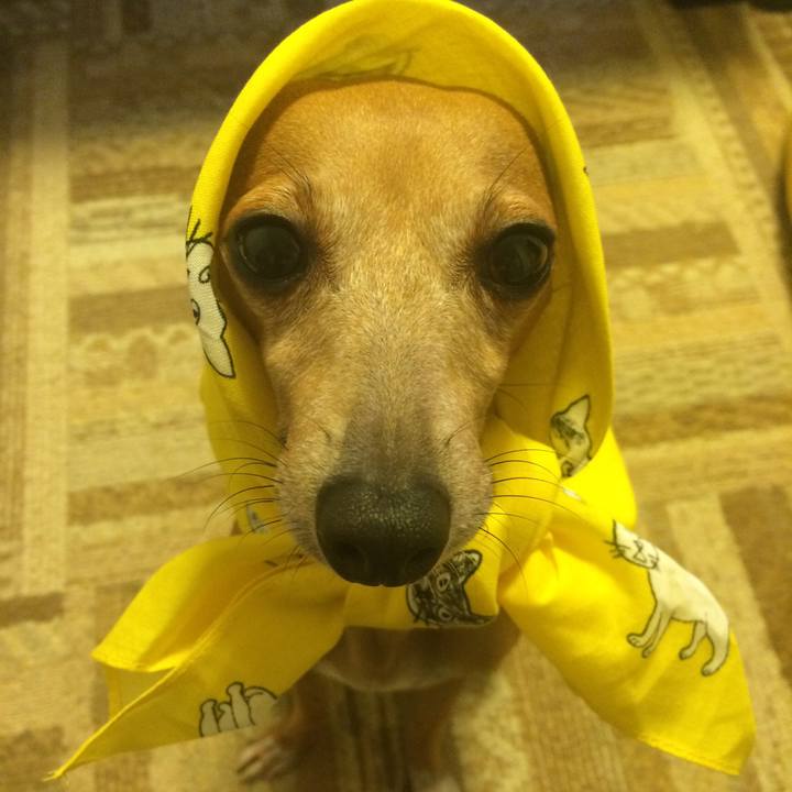 7d3c03b7 f563 4824 99af cb79edcb0e88