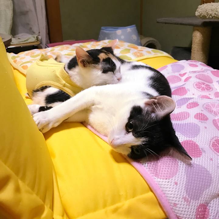 7d3c0dd9 fda2 4fab 8166 1784fe18707b