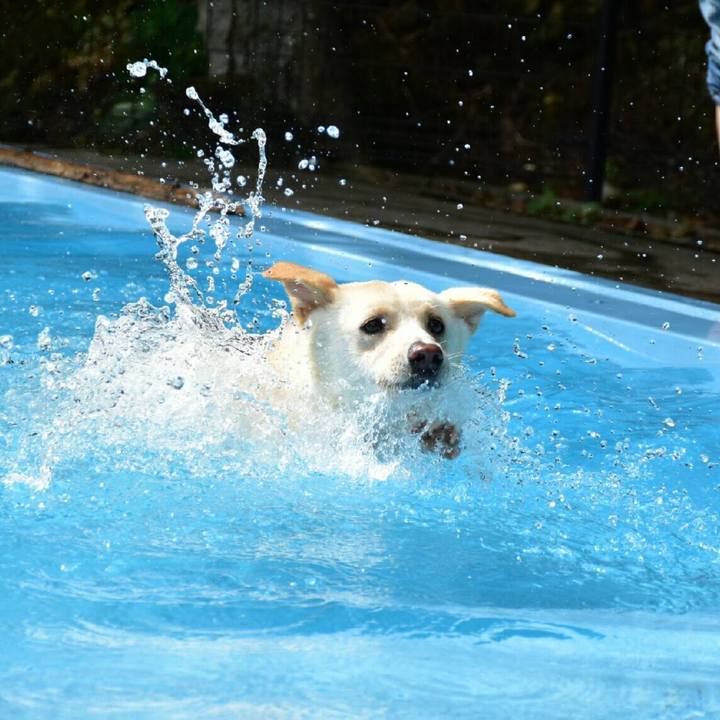 7d3c727c 414a 4859 a070 bd2b8122cdef