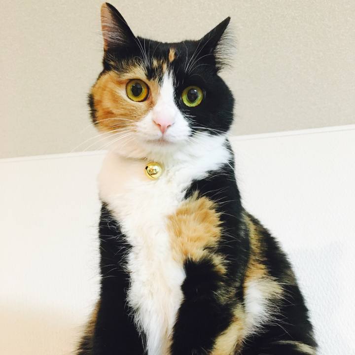 7d3c9684 503e 4af0 bdab 2c8a6231a72f