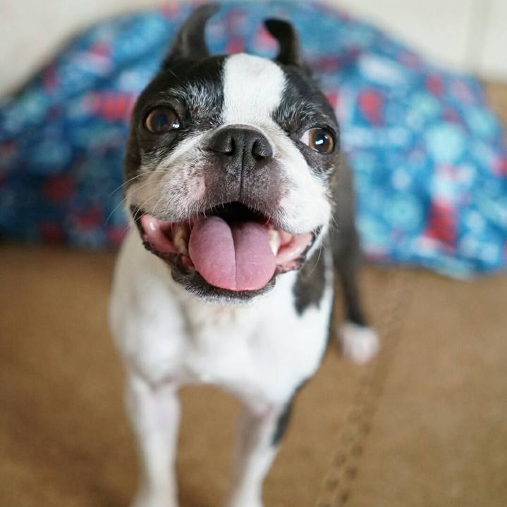 7d3dd63e a372 4530 8c21 7341ad5f2f1f