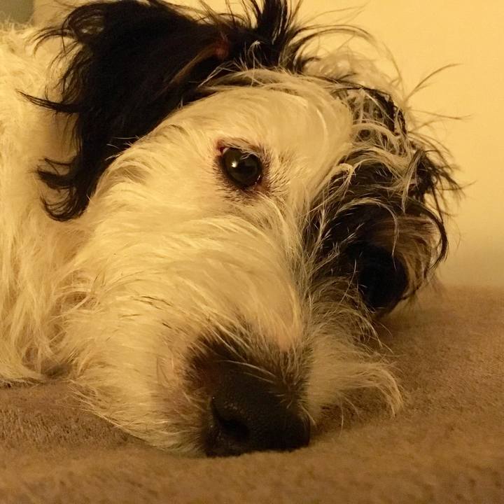 7d3e1028 b6ee 4925 b382 551e37158ef5