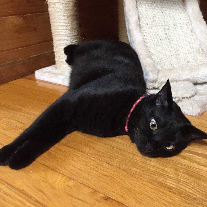 7d3eb012 1fec 4000 969d dbe65d08ceb1