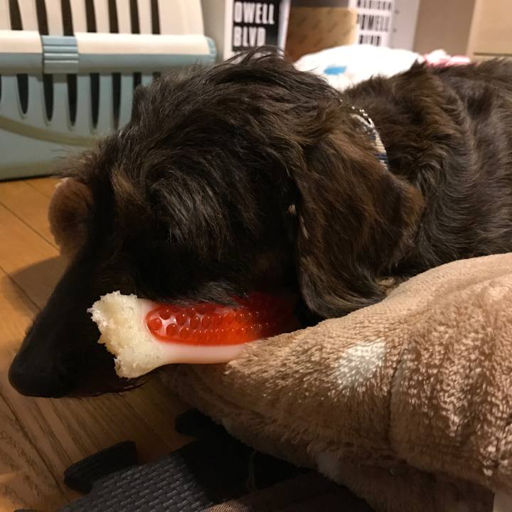 7d3ee16b 7d24 4200 a813 d346deb4869e