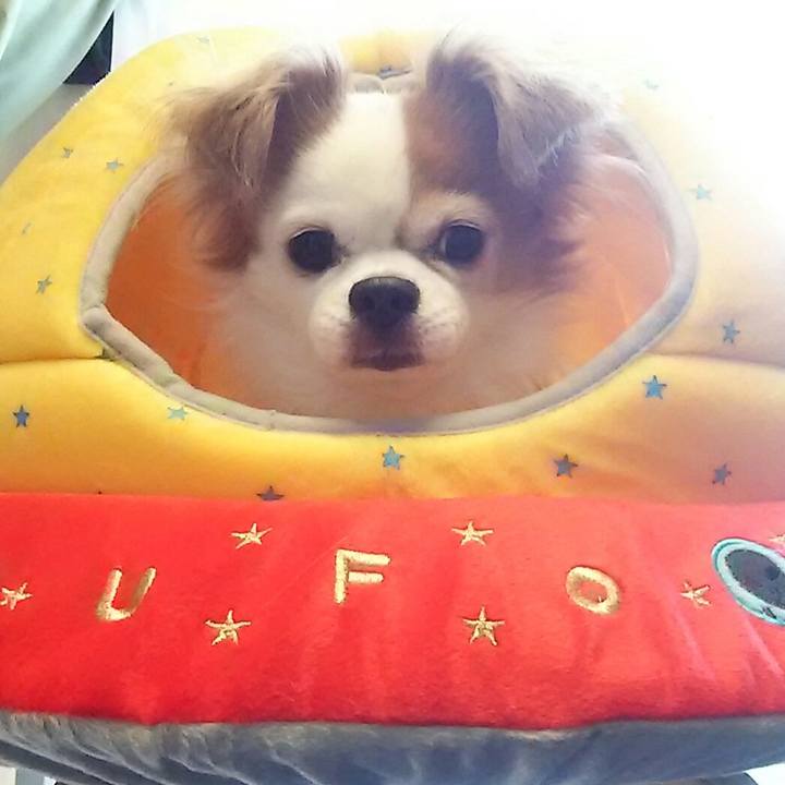 7d3ee5c2 2c21 42fe b64d bf622cae105b