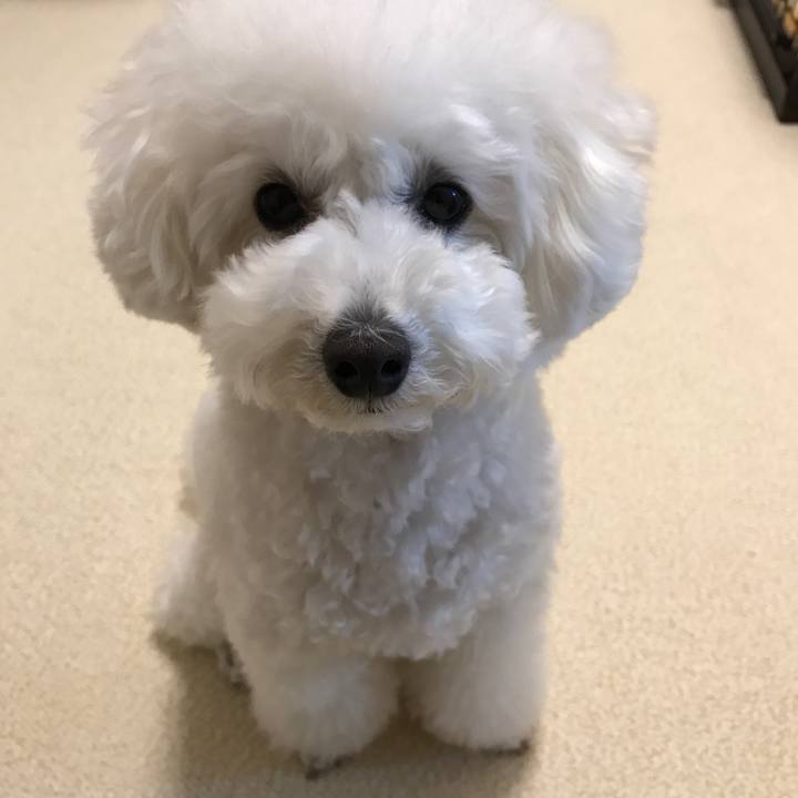 7d3f69cb 9eda 4e40 9df0 b363ff5871c9