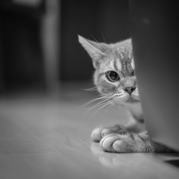 7d3fbf84 a2aa 46bb ac7c da6ac4e72ca8