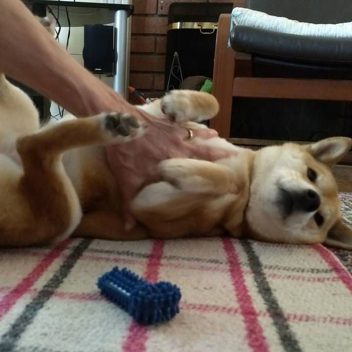 7d3ff03e 916f 4567 9dc3 16dc1d53a160