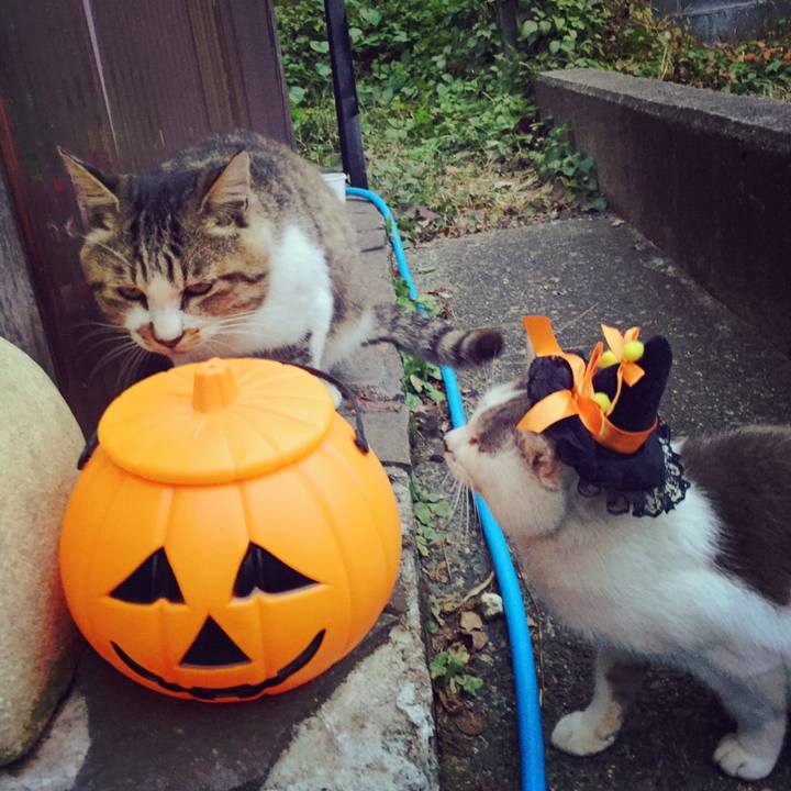 7d3ff598 4a61 4c9e 827e 0f9dac5d0104