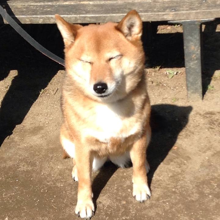 7d404e50 2425 45b7 9bf4 c8be817e1b78